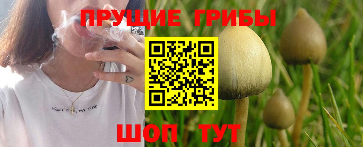 Крымск  даркнет сайт  Вход с VPN  Галлюциногенные грибы ЛСД 