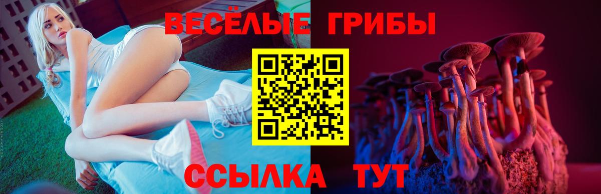 Псилоцибиновые грибы ЛСД Крымск